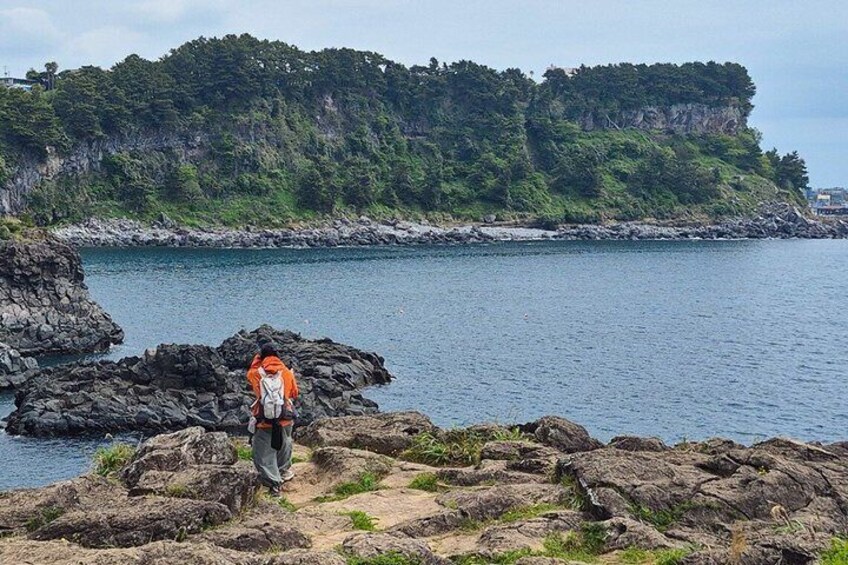Jeju Island South Unesco Mt Halla One day Bus Tour 2
