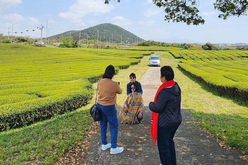Jeju Island South Unesco Mt Halla One day Bus Tour 5