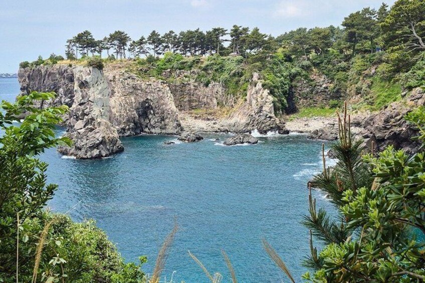 Jeju Island South Unesco Mt Halla One day Bus Tour 3