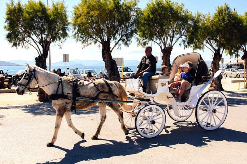 Athens cruise: Agistri, Moni/Metopi, Aegina with lunch & drinks 4