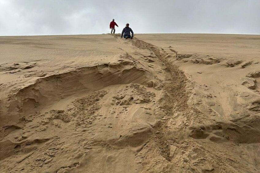 A vast sandy landscape with deep ruts and two people walking. 3