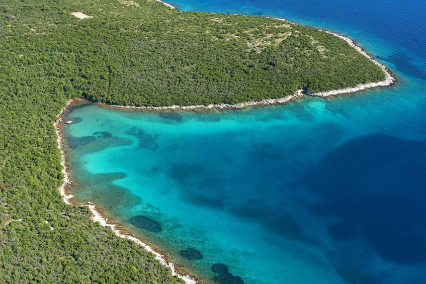 Vista aerea di un'isola costiera con vegetazione verdeggiante e acque turchesi cristalline. 2