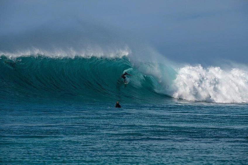 Learn to surf with a local big wave rider on the North Shore of Oahu 4