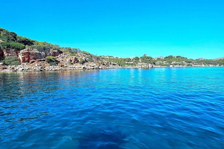 Athens Riviera Catamaran tour with fresh Meal Drinks and Swimming 3