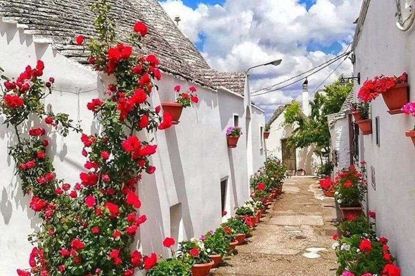 Puglia's White Gems: Private Alberobello & Martina Franca 5