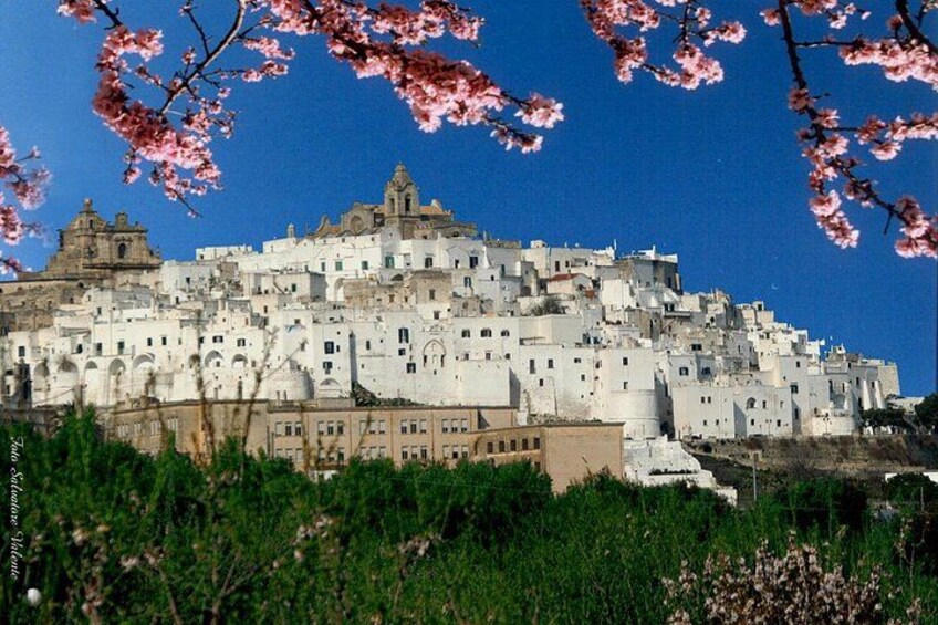 Puglia's White Gems: Private Alberobello & Martina Franca 1