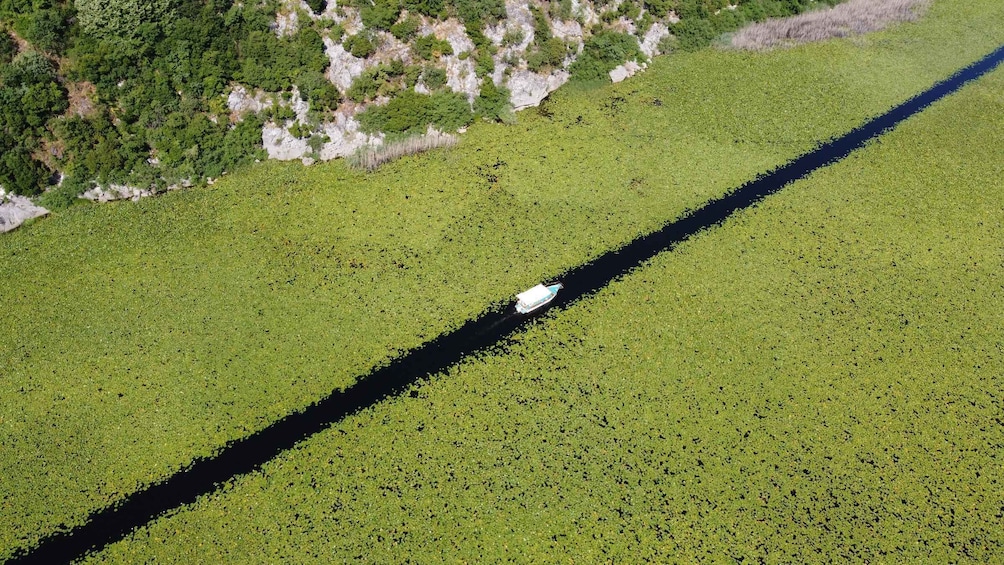 An aerial view of a green field with a boat on a narrow water channel. 2