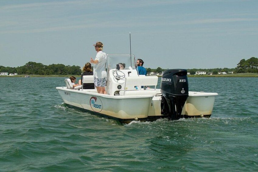 1-Hour Private Party Assateague Island Pony Cruise in Ocean City 5