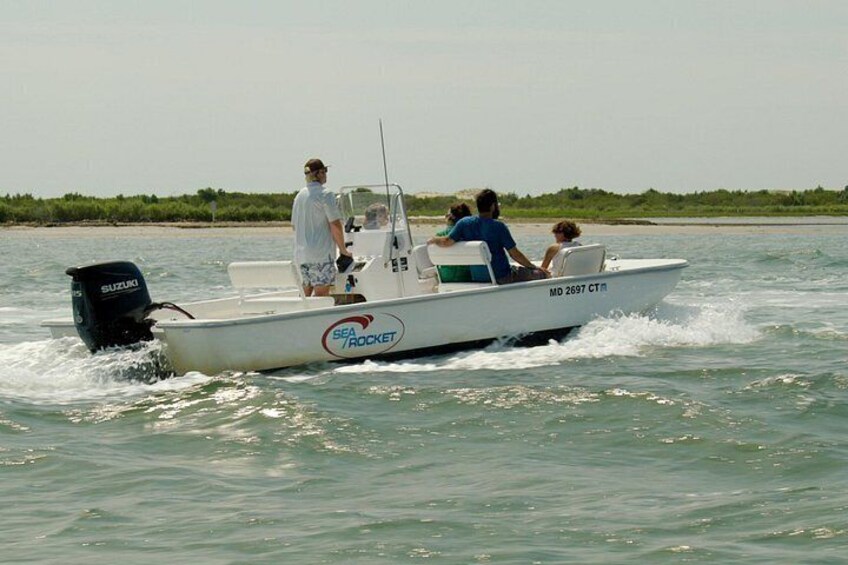 1-Hour Private Party Assateague Island Pony Cruise in Ocean City 4