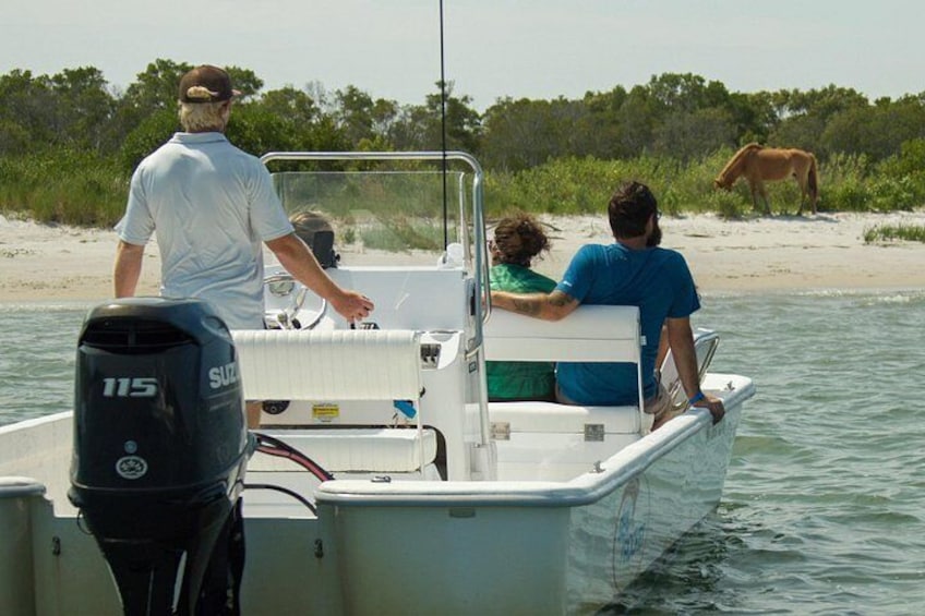 1-Hour Private Party Assateague Island Pony Cruise in Ocean City 2