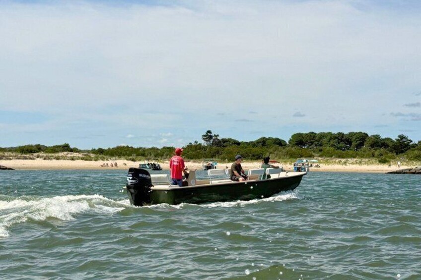 1-Hour Private Party Assateague Island Pony Cruise in Ocean City 3