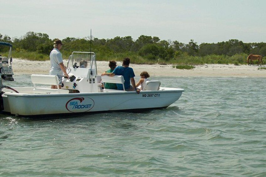 1-Hour Private Party Assateague Island Pony Cruise in Ocean City 3