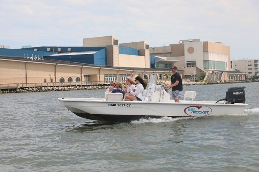 1-Hour Private Party Assateague Island Pony Cruise in Ocean City 2