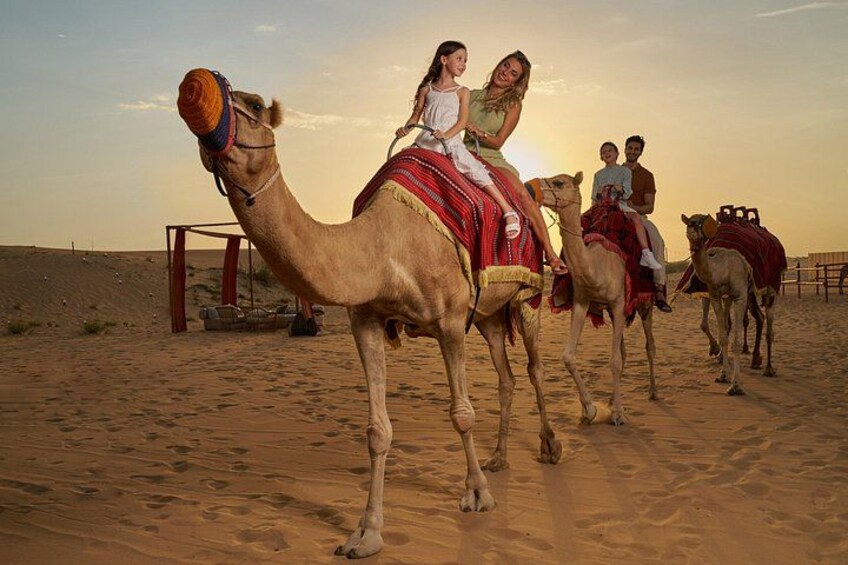 Camel Ride In The Desert 3