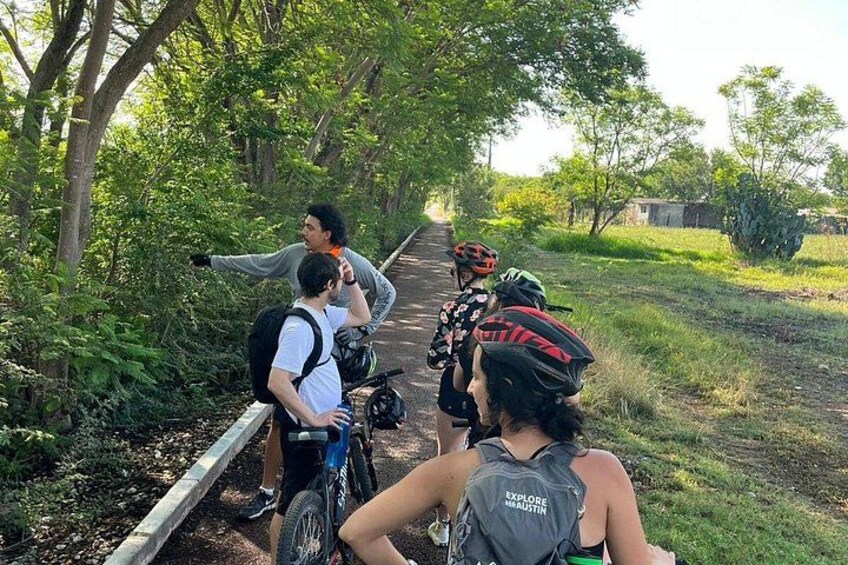 Un grupo de ciclistas en un sendero pavimentado rodeado de vegetación. 5