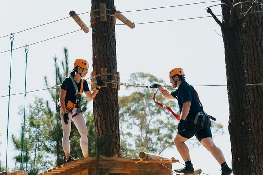 Guided Tree Ropes Course Experience in Majura Pines 5