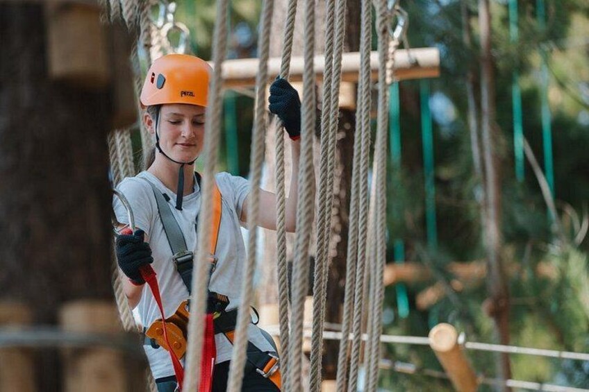 Guided Tree Ropes Course Experience in Majura Pines 4