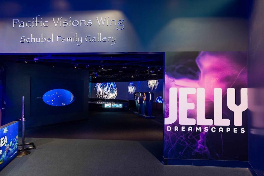 An indoor exhibition space with a sign reading 'Pacific Visions Wing Schubel Family Gallery' and a prominent display for 'JELLY DREAMSCAPES.' 4