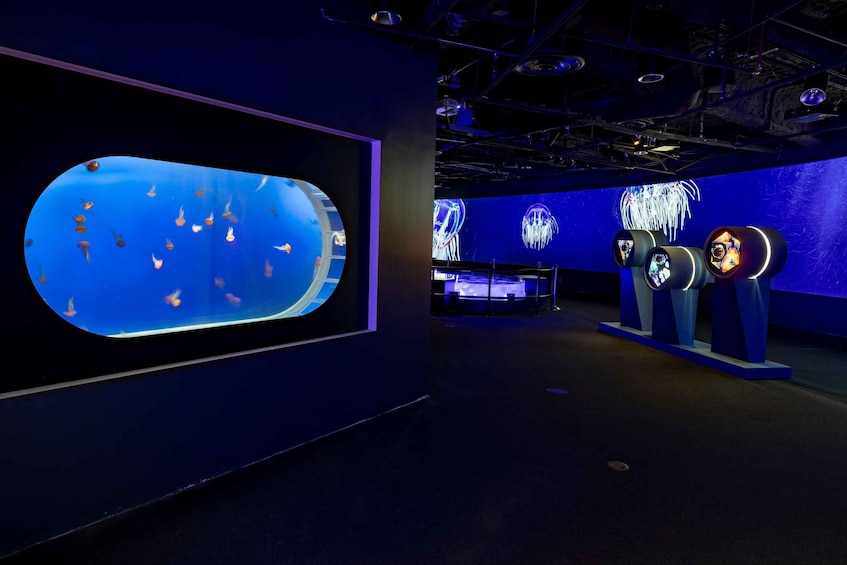 An aquarium with fish tanks and jellyfish displays. 2