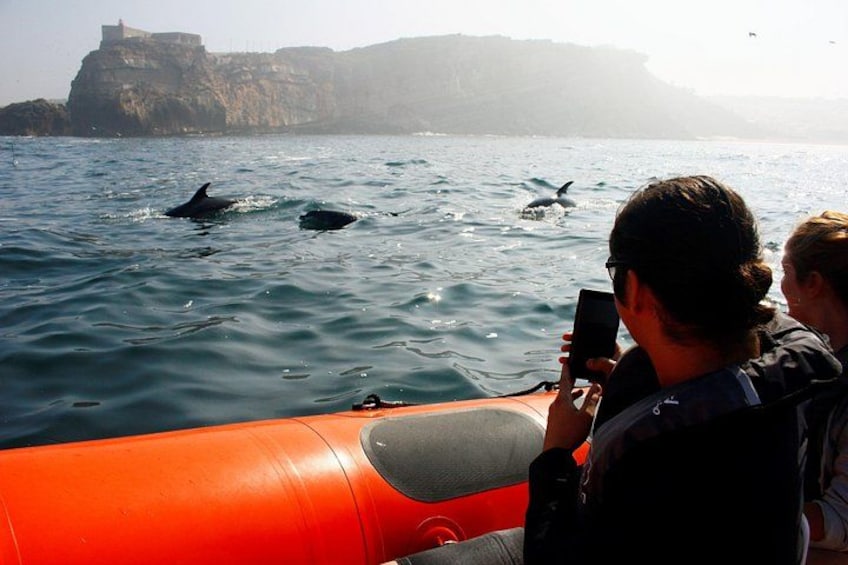 A boat with people observing dolphins in the water. 2