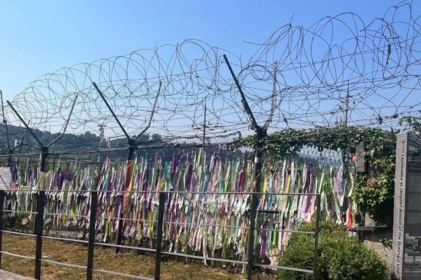 Private DMZ Tour with North Korean Defector + N Korean Lunch 3