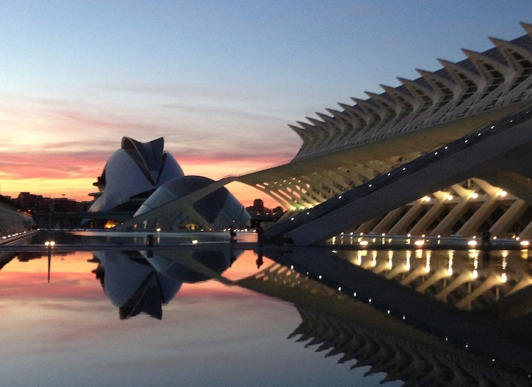 City of Arts and Sciences & Oceanografic 2-Hour Guided Tour 1