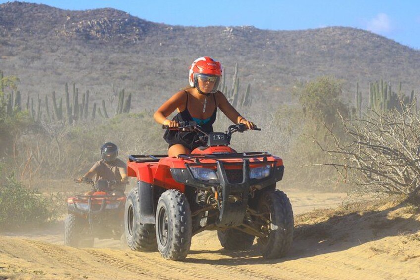 Twee personen rijden op quadbikes over een onverharde weg, met cactussen en heuvels op de achtergrond. 5
