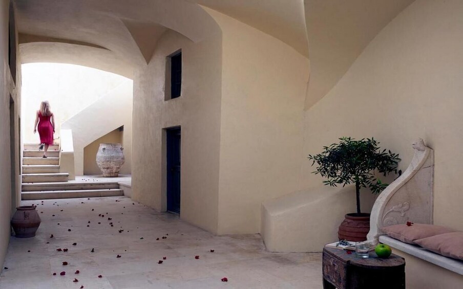A corridor with a staircase, a potted plant, a bed, and scattered rose petals. 3