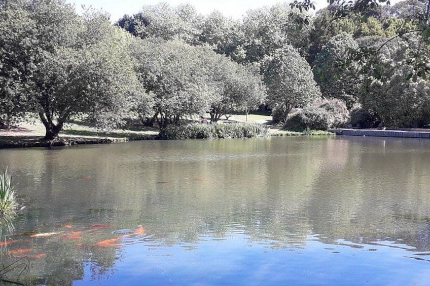 City Park Lake 5
