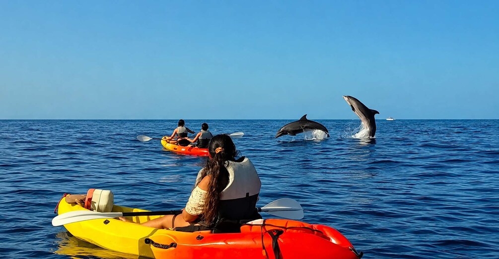 Picture 6 for Activity Kayak & Snorkel in a Rich Marine Ecosystem with Free Videos 2