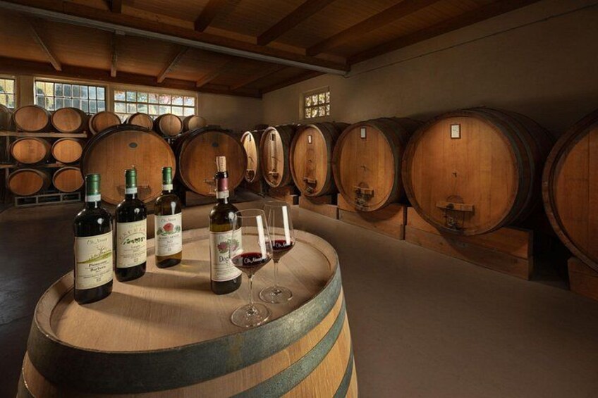 Our wine cellar 2