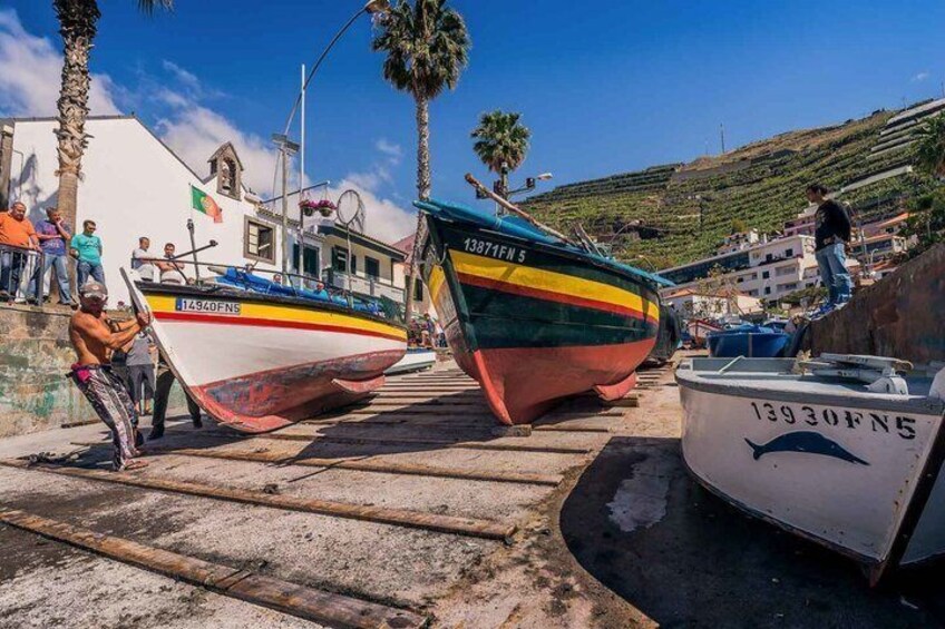 Dos barcos amarrados en un muelle, con palmeras y edificios al fondo. 5