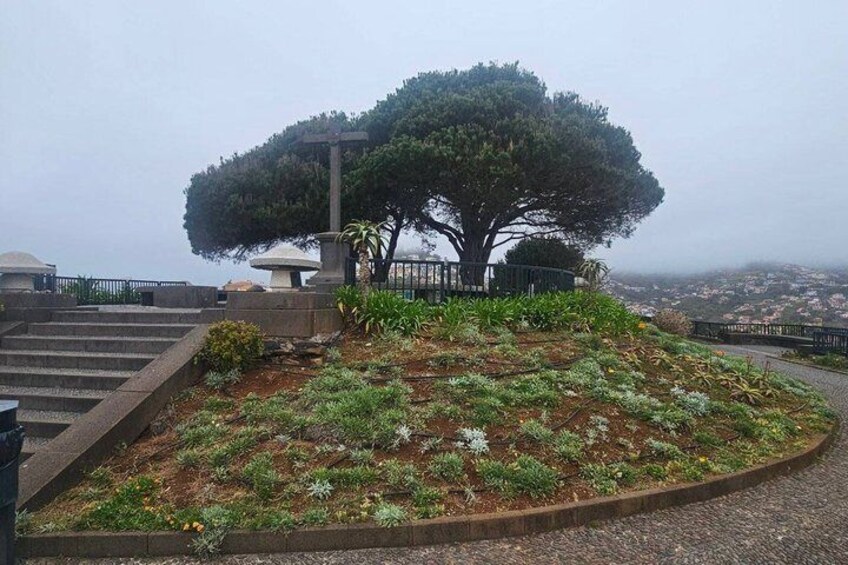 Un jardín arbolado con un gran árbol, escalones y vistas a un pueblo lejano. 2