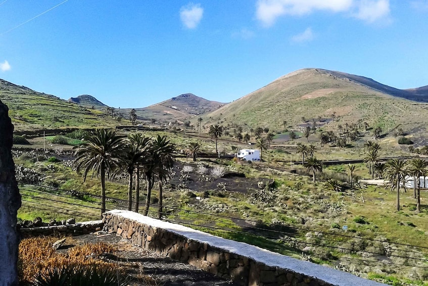 A mountainous landscape with palm trees, a white building, and a stone wall. 4