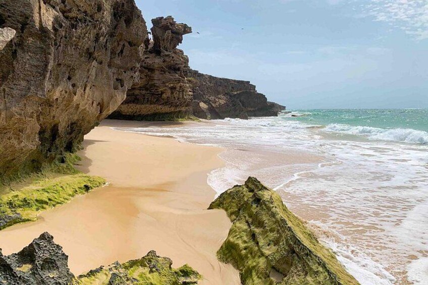 Full Day South to Southwest Exploration in Boa Vista Island 1