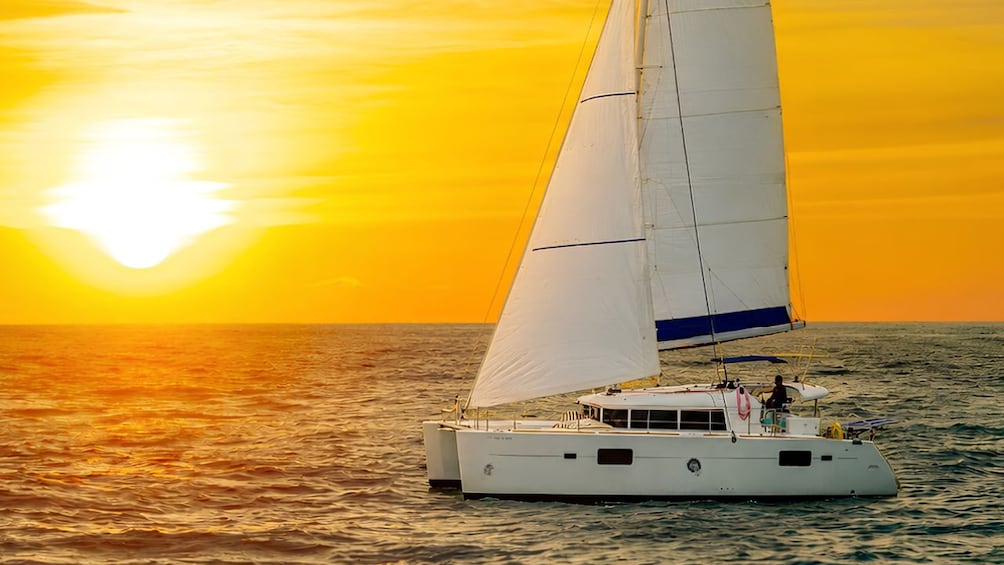 Coral Island Sunset Catamaran Cruise with Dinner from Phuket 3