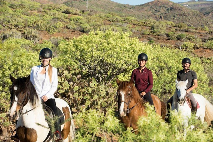 Tre personer rider på hästar i ett naturligt landskap med grönska och kullar. 2