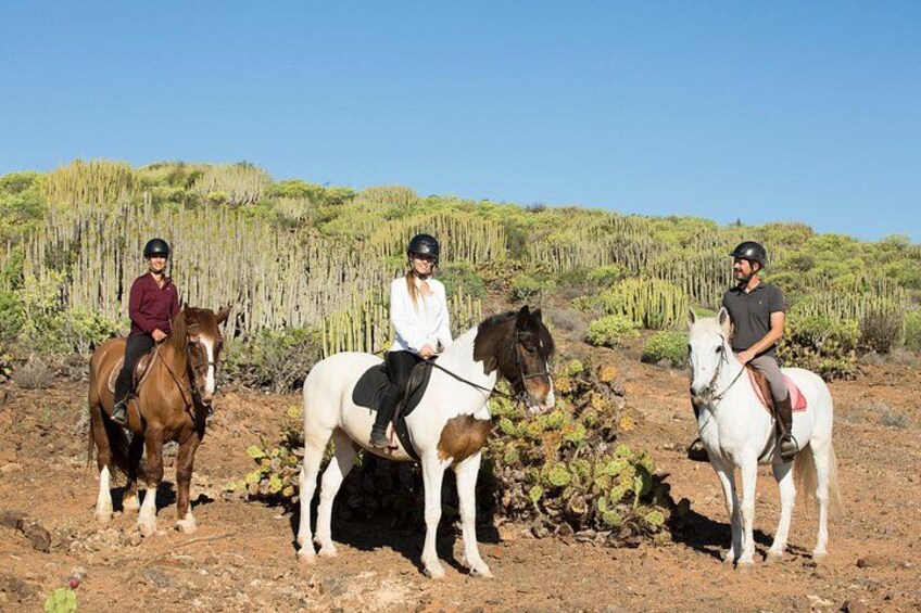 Drei Personen reiten auf Pferden durch eine wüstenartige Landschaft mit vereinzelter Vegetation. 1
