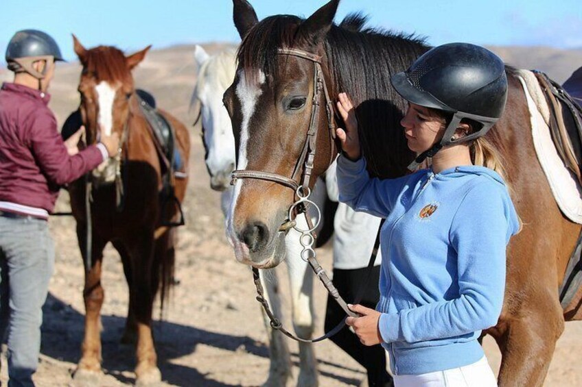The Best Horse Riding Experience in Gran Canaria (2 hours) 2
