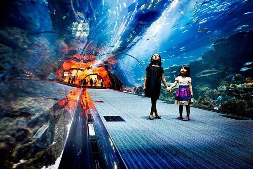 Dubai Aquarium and Underwater Zoo Admission Ticket 4