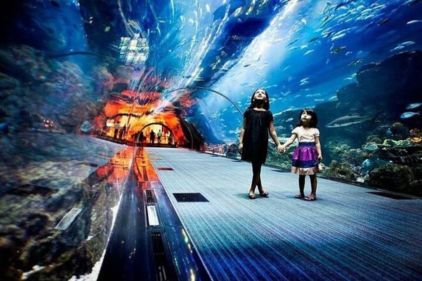 Dubai Aquarium and Underwater Zoo Admission Ticket 4