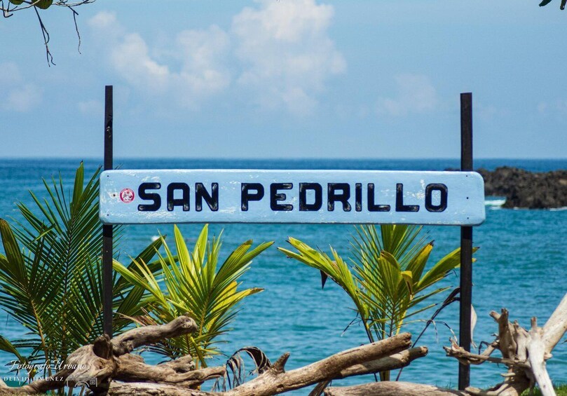 Picture 20 for Activity From Uvita: Day Trip to Corcovado National Park by Boat 4