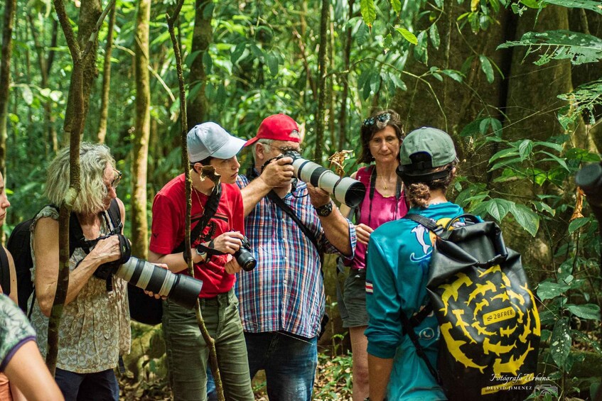 Picture 17 for Activity From Uvita: Day Trip to Corcovado National Park by Boat 5