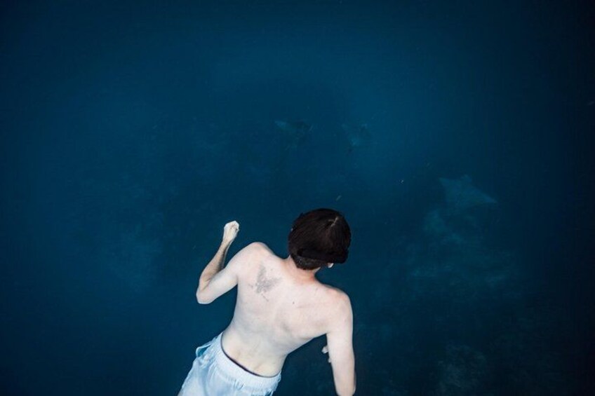An Eagle Ray and Turtle Tour-Small Groups & Photography Included 2