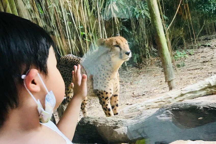 Singapore Zoo 3
