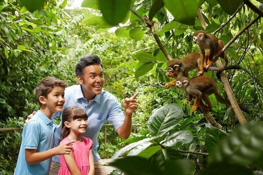 Singapore Zoo 1