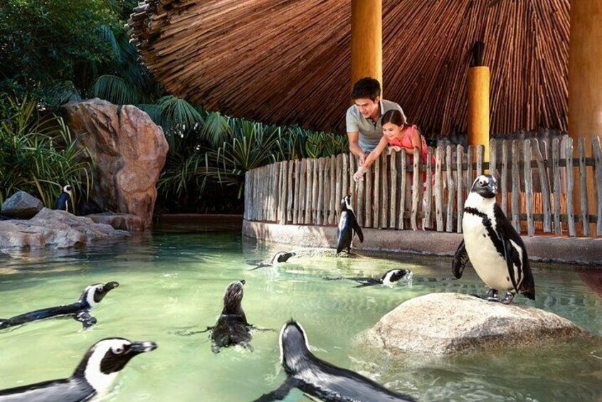 Singapore Zoo 5