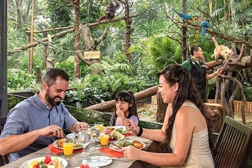 Singapore Zoo 2
