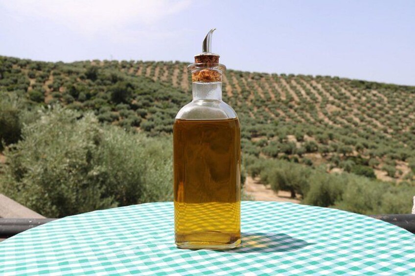 A bottle of olive oil on a checkered tablecloth with a vineyard in the background. 3