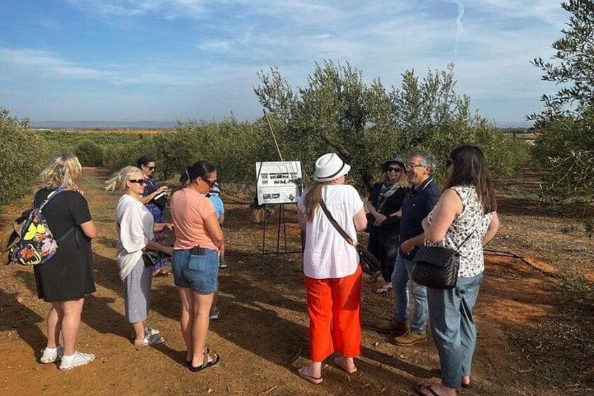 A group of people standing in a field with a signboard in the background. 1